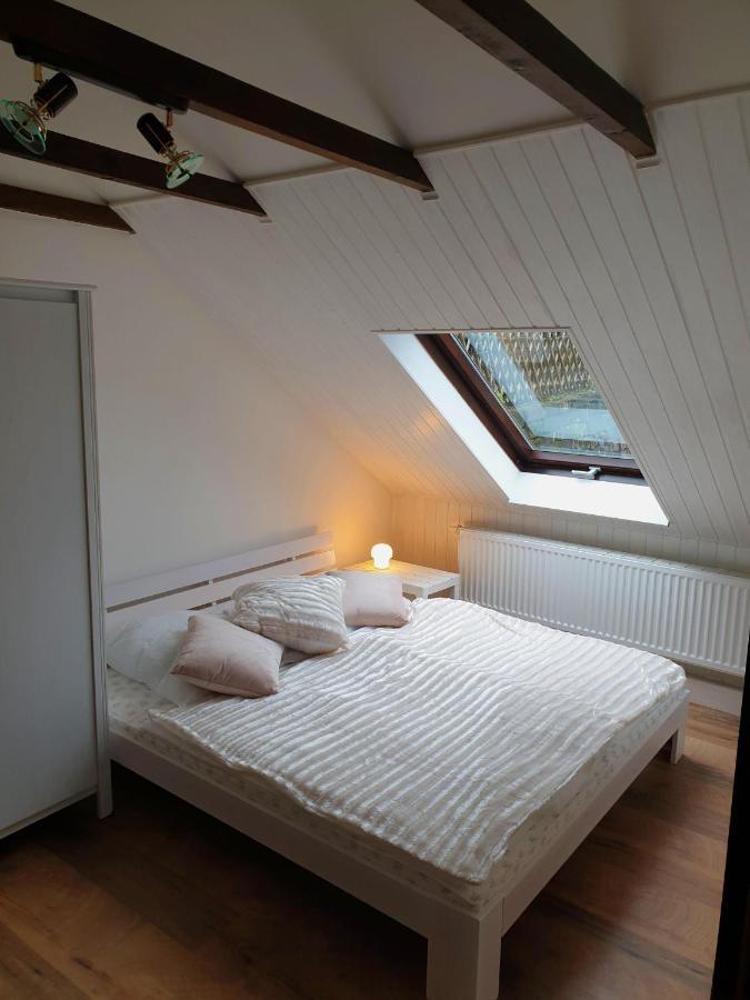 Saechsische-Schweiz-Ferienhaus-Wohnung-1-Mit-Elbblick-Sauna-Und-Kamin Königstein an der Elbe Dış mekan fotoğraf